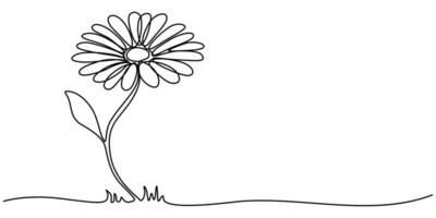 Abstract Daisies continuous one line drawing on white background vector