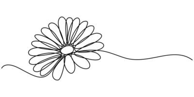 Daisy flower in continuous line art drawing style minimalist black linear sketch vector