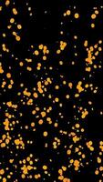 Fire Ash Particles Rise Up On Black Background video