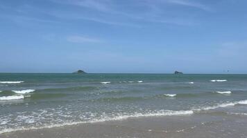 The wave on the beach. Sea coast summer video