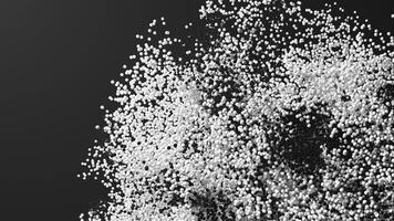 3d render of abstract loop art animation with 3d small particles in black and white color video