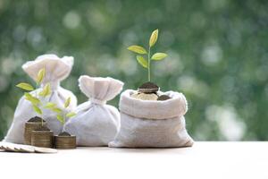 Trees growing on stack of coins money in money bag on green background photo
