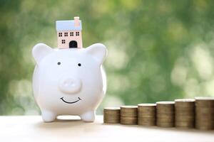Model house on piggy bank with stack of coins money on nature green background photo