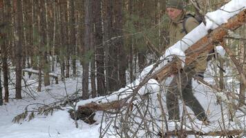 bushcrafter skärande fallen träd i vinter- skog, man i vinter- skog skärande en fallen träd med ett yxa för överlevnad och bushcraft video