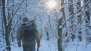 A person walks along a snowy trail in a tranquil forest during winter. Sunlight filters through the trees, illuminating the serene landscape, creating a peaceful atmosphere. video