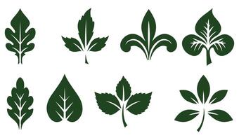 Unique Summer Leaf Floral Swirl Ornaments Logo with Intricate Botanical and Stylized Art Patterns Ideal for Decorative Elements and Graphics vector
