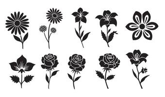 Artistic Floral Flowers Stencil Silhouette Summer Set with Decorative Swirl Ornament Icon Symbol and Retro Calligraphy Scroll Elements vector