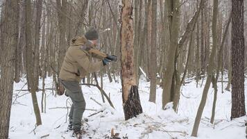 Man Chopping Tree with Axe in Winter Forest, Survivalist chopping a tree with an axe in a snowy forest for bushcraft and firewood. video