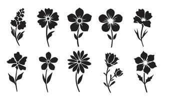 Ornamental Floral Flowers Stencil Swirl Ornament Icon Symbol with Abstract Silhouettes of Rose and Lily Featuring Calligraphy and Decorative Patterns vector