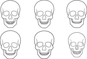 Continuous one line drawing of human skull Line Art Illustration Set vector