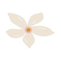 Vanilla flower. Flat illustration on white background. vector