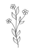Sketch of a forget-me-not wildflower. illustration of a spring flower icon. Isolate on white. vector
