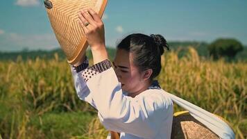 A woman in traditional attire carrying straw hats in a rice field, with a serene landscape in the background. The sky is clear and blue, enhancing the peaceful rural setting video