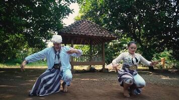 Two dancers performing a traditional dance in a natural outdoor setting, with a gazebo in the background. The dancers wear traditional attire and showcase expressive hand movements video