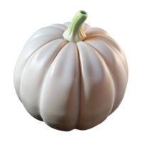 stunning artistic Artificial Pumpkin Seed White Shell Transparent original png