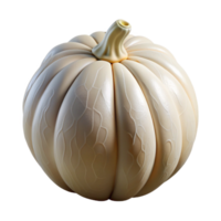 serene creative Artificial Pumpkin Seed White Shell Transparent professional png