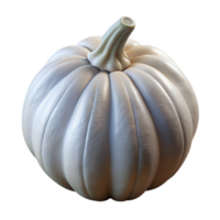magnificent abstract Artificial Pumpkin Seed White Shell Transparent professional png