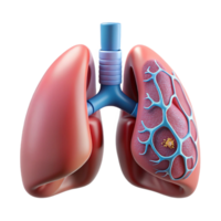 magnificent rustic Bio Cybernetic Lung Respiratory System Transparent Background professional png