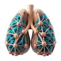extraordinary minimalist Bio Cybernetic Lung Intricate Network Isolated authentic png
