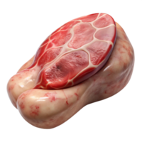 elegant modern Bio Printed Pork Chop Textured Surface Transparent high quality png