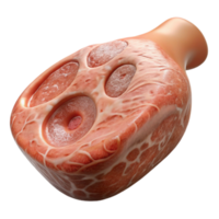 dramatic abstract Bio Printed Pork Chop Textured Surface Transparent authentic png