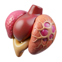 magnificent minimalist Bioprinting Organ Tissue 3d Render Cutout original png