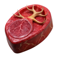 wonderful artistic Bioreactor Grown Venison Steak Isolated Transparent Background premium png
