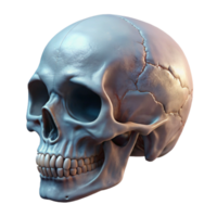 stunning classic Biorobotic Skull Profile View Transparent Background high resolution png