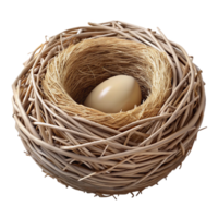 serene modern Bird Nest Twigs and Straw Transparent authentic png