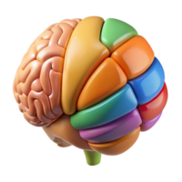 wonderful artistic Brain Anatomy Chart Color Coded Sections Isolated professional png