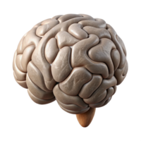 wonderful modern Brain Outline Illustration Cutout with Simple Design 4K png