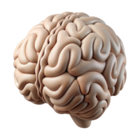 dramatic rustic Brain Outline Illustration Cutout with Simple Design high quality png
