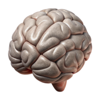 impressive abstract Brain Outline Illustration Cutout with Simple Design high quality png