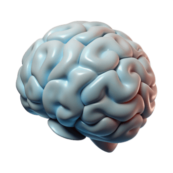 extraordinario minimalista cerebro escanear datos visualización resumen modelo transparente antecedentes genuino png