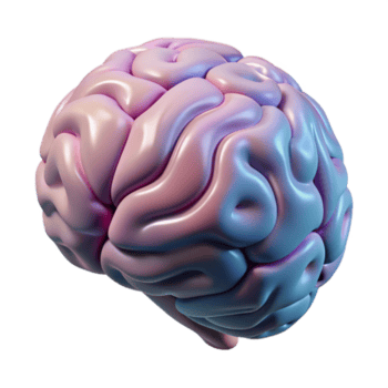 underbar rustik hjärna skanna data visualisering abstrakt mönster transparent bakgrund exklusiv png