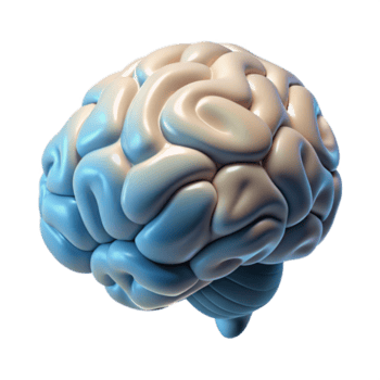 imponerande årgång hjärna skanna data visualisering abstrakt mönster transparent bakgrund hög upplösning png