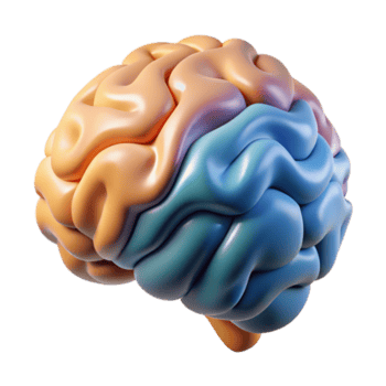 dramático creativo cerebro escanear datos visualización resumen modelo transparente antecedentes alto calidad png