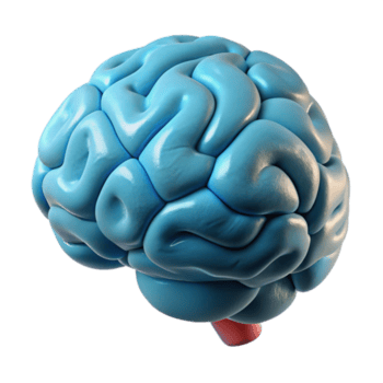 vibrerande kreativ hjärna skanna data visualisering abstrakt mönster transparent bakgrund exklusiv png