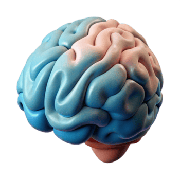 stunning traditional Brain Scan Data Visualization Abstract Pattern Transparent Background detailed png