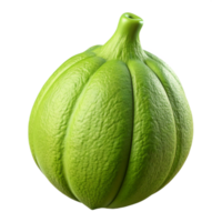 vibrant minimalist Chartreuse Artificial Seed Pod Transparent Background Cutout authentic png