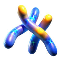 impressive modern Chromosomes in Bright Light Microscopic View Cutout high resolution png