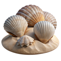 wonderful vintage Close Up of Seashells on Beach Transparent Background high resolution png