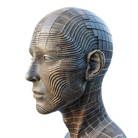 magnífico abstrato código linhas formando humano face perfil Visão isolado elemento autêntico png
