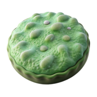 vibrant traditional Cultured Algae Wafer Isolated on White authentic png
