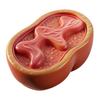 magnificent minimalist Cultured Meat Slice Microscope View Isolated Element professional png
