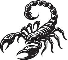 Sorpion Sketch Illustration. vector