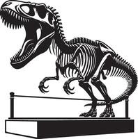 Dinosaur Tyrannosaurus Rex Specimens Bones on Display. vector