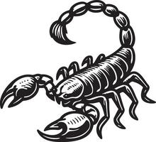 Dread Sorpion Sketch Drawing. vector