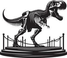 Dinosaur Tyrannosaurus Rex Bones on Display. vector