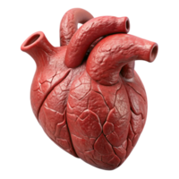 wonderful abstract D Printed Organ Heart Shape Realistic Texture Isolated exclusive png